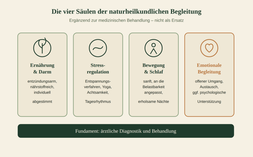 Ernährung, Stressregulation, Bewegung und emotionale Begleitung ruhen auf demselben Fundament – der ärztlichen Diagnostik und Behandlung.