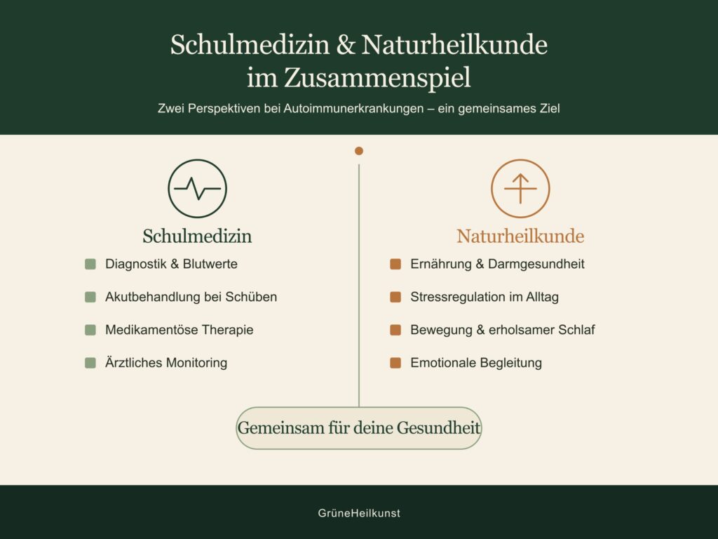 Schulmedizin und Naturheilkunde setzen an unterschiedlichen Stellen an – gemeinsam ergeben sie ein vollständigeres Bild.